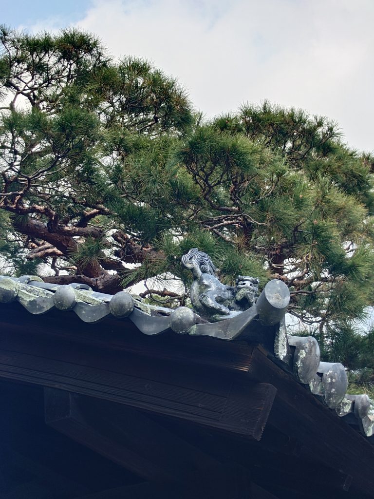 arashiyama